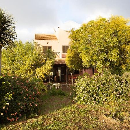 Home2Book Amazing Teide View & Terrace Sauzal Ngoại thất bức ảnh