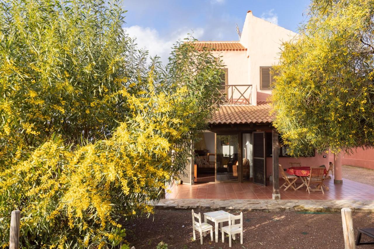 Home2Book Amazing Teide View & Terrace Sauzal Ngoại thất bức ảnh