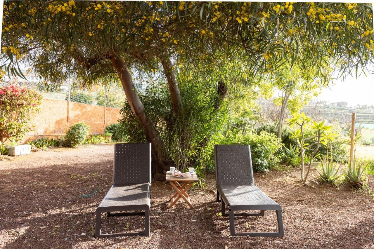 Home2Book Amazing Teide View & Terrace Sauzal Ngoại thất bức ảnh